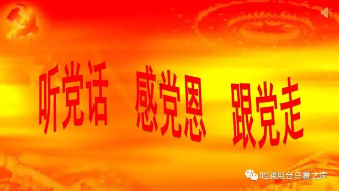 稳中求进 以进促稳 推动商务高质量发展取得新突破